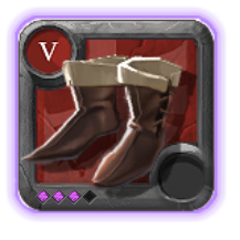 Expert's Assassin Shoes