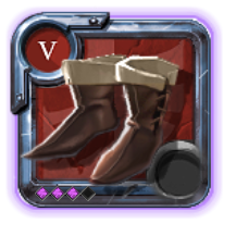 Expert's Assassin Shoes