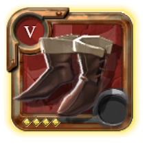 Expert's Assassin Shoes