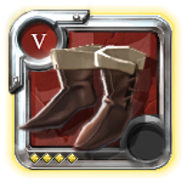 Expert's Assassin Shoes