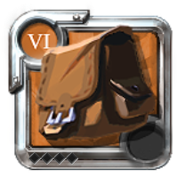 T6 Bag