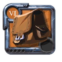 T6_BAG