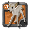 Master's Fawn