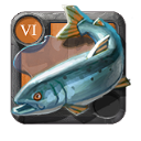Salmão Forte .1