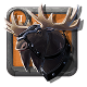 Moose 6.0