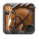 Riding Horse 6.0