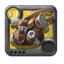 T7_BAG_INSIGHT