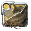 T7 Fish Freshwater All Common