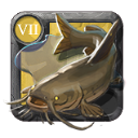Peixe Comum T7