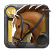 Riding Horse 7.0