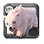 Elite Winter Bear Cub