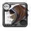 Elder's Hunter Hood