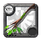 Elder's Nature Staff