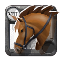 Elder's Riding Horse