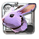 Spring Cottontail 8.0, Excellent