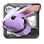Spring Cottontail