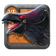 unique mount morgana raven adc