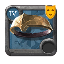 Wardrobe Skin: Arena Veteran's Circlet